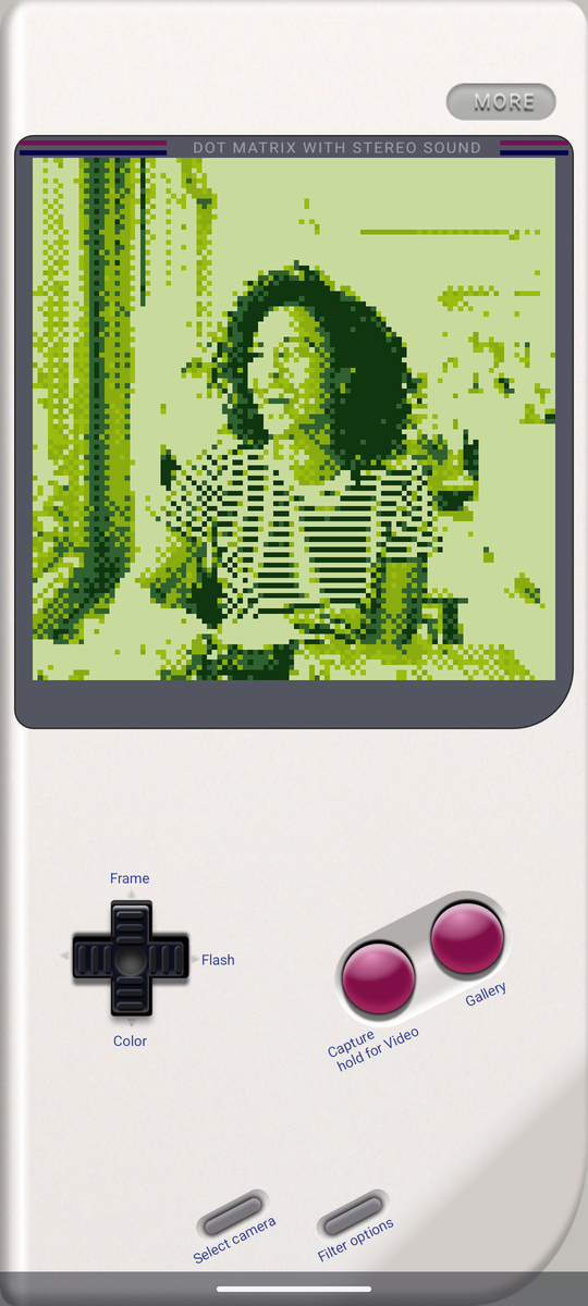 Camboy showing a portrait in the Gameboy Original palette